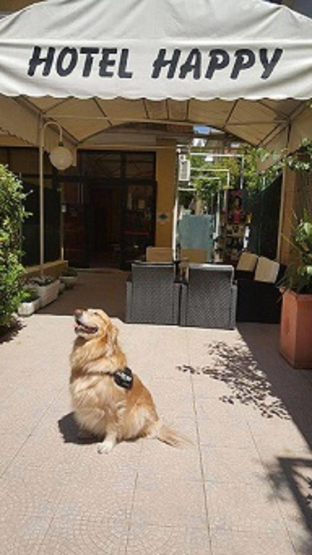 Hotel New Happy Rimini Exterior foto